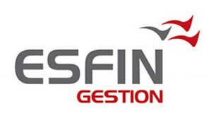 Esfin gestion